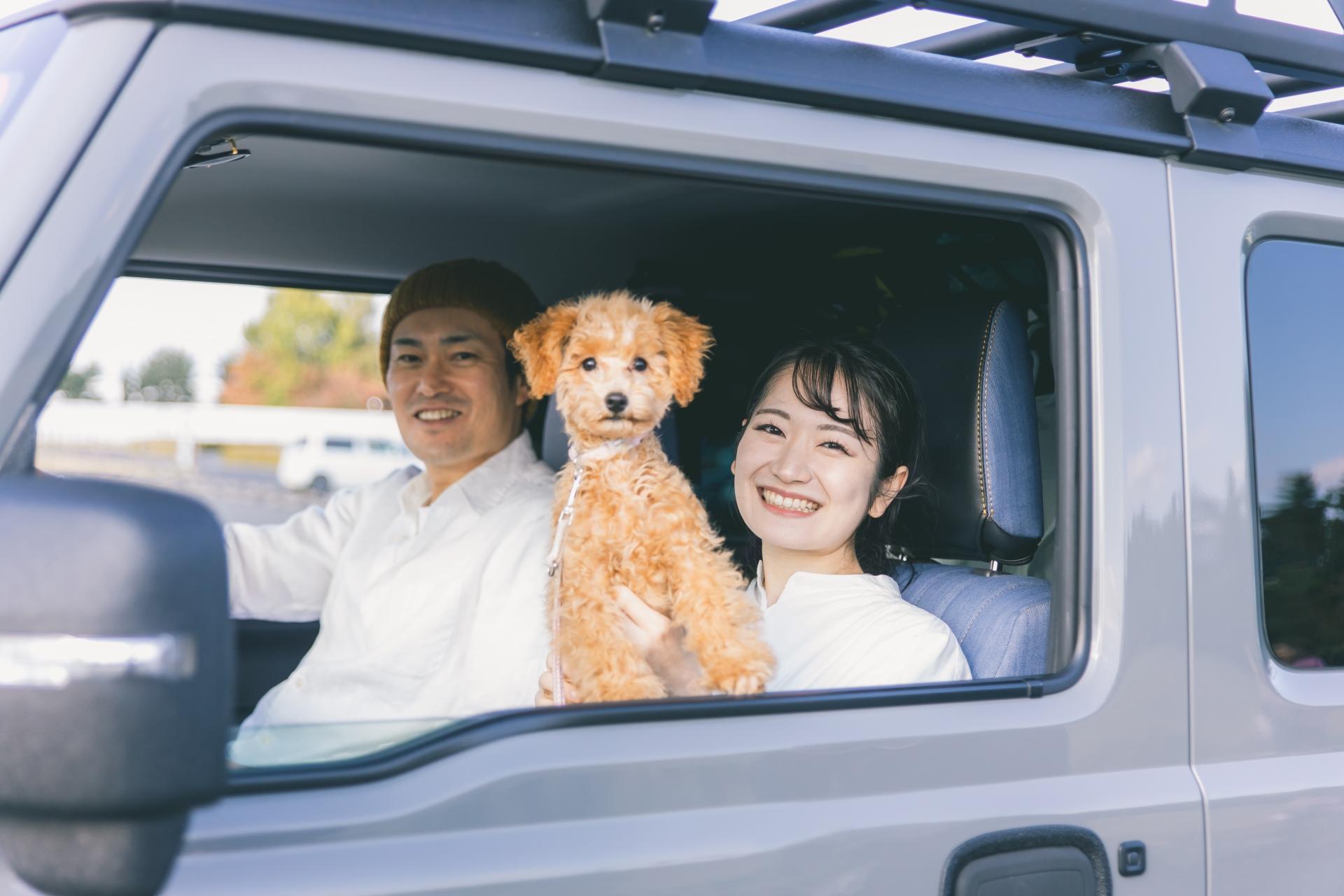 Pet-Friendly