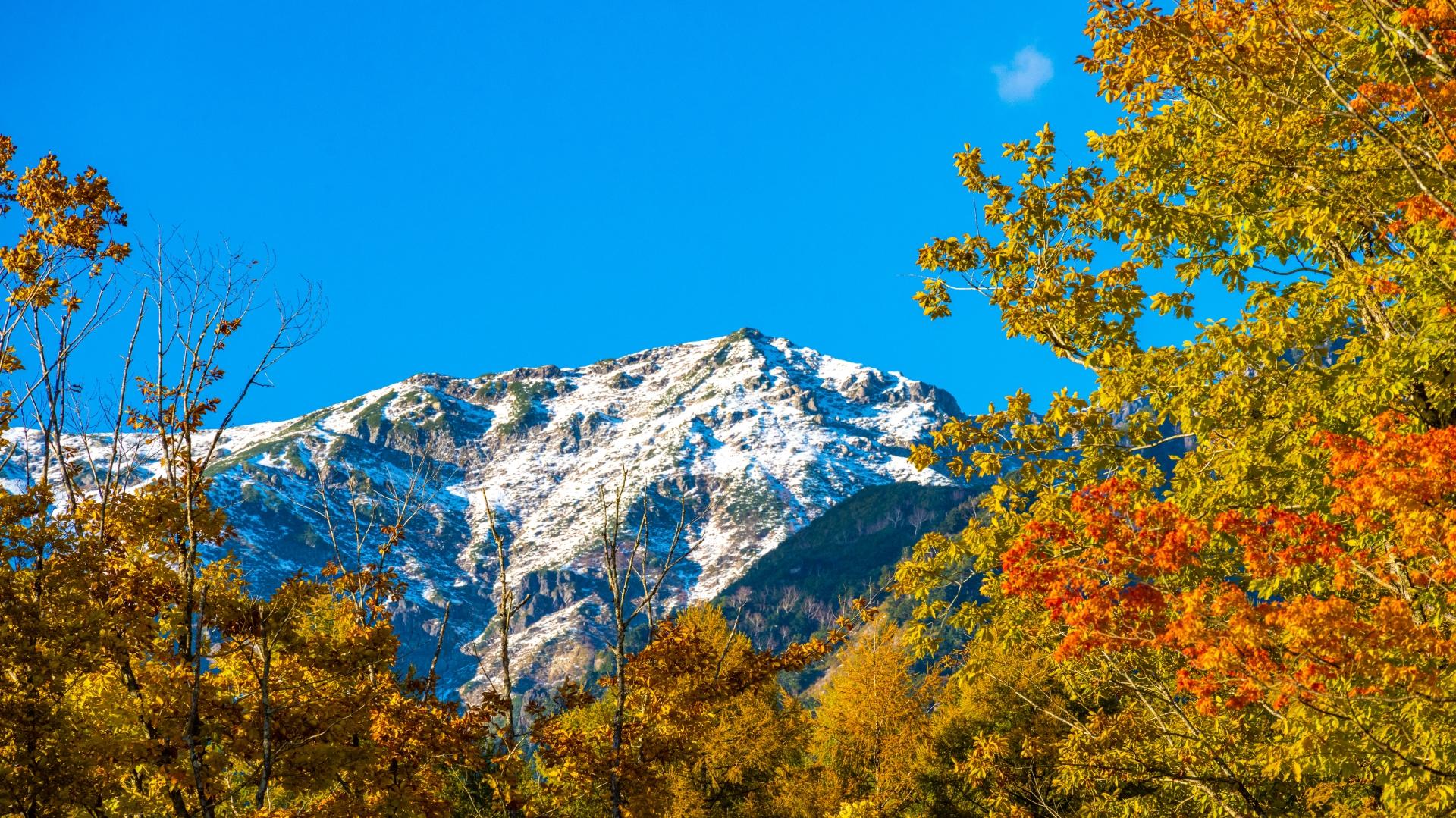 紅葉山